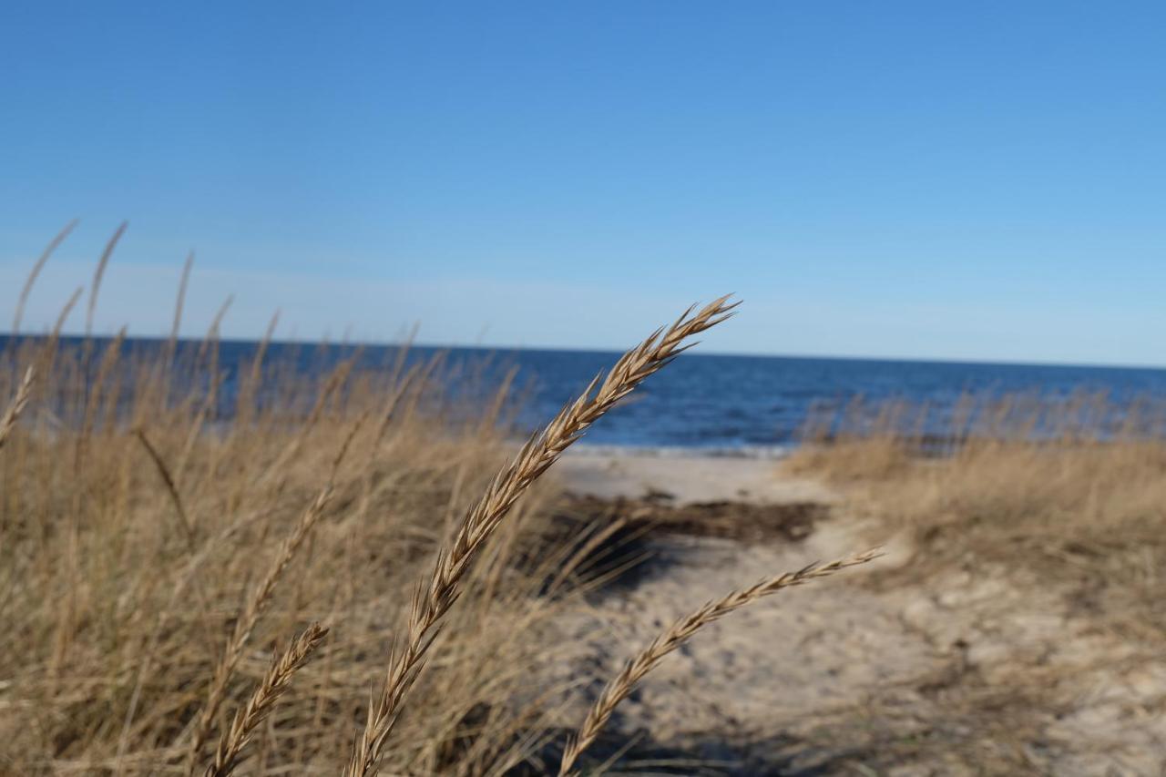 Tahkuna Puhkekeskus Hiiumaa Exterior foto